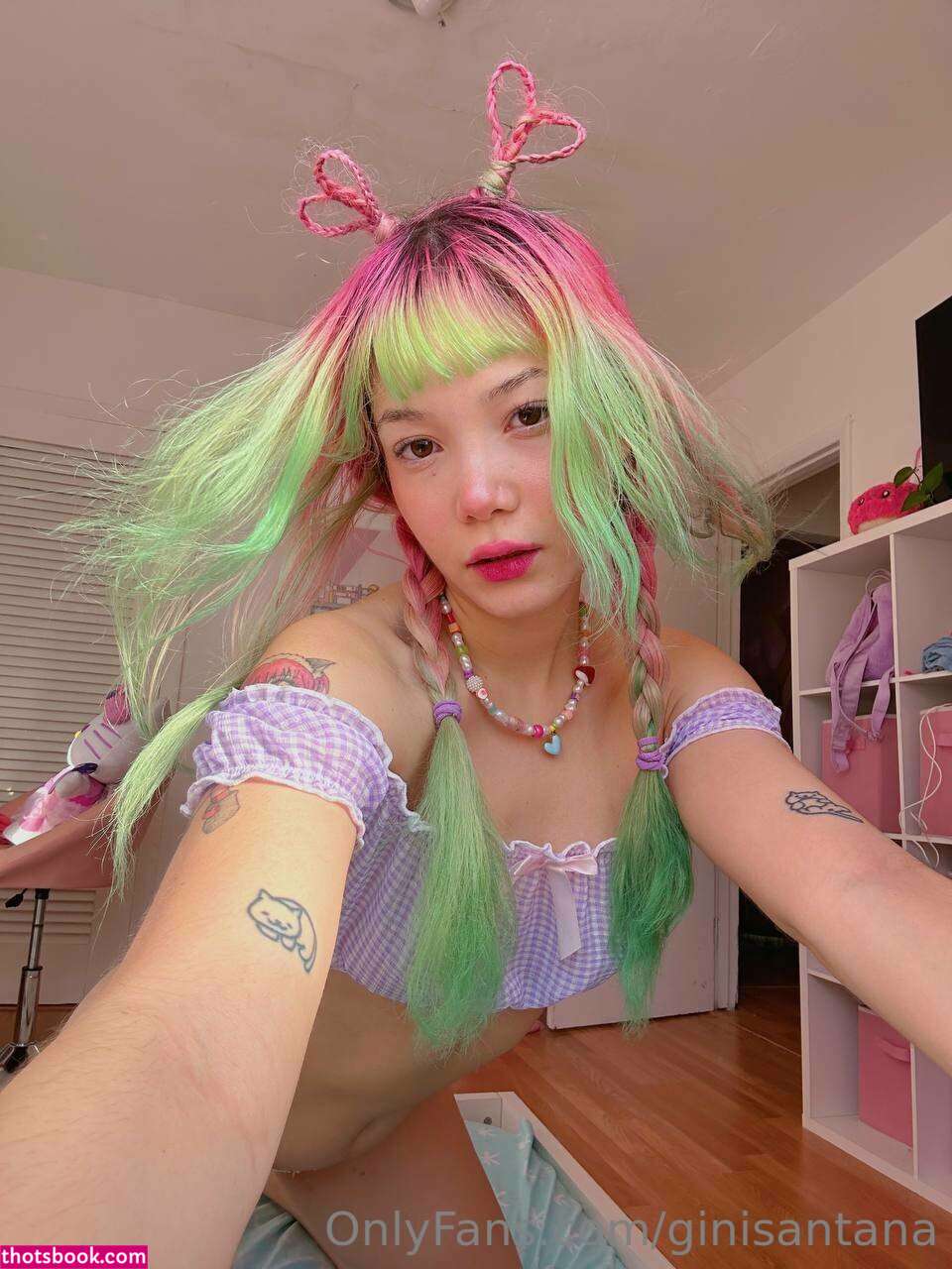 Ginisantana Photo #245