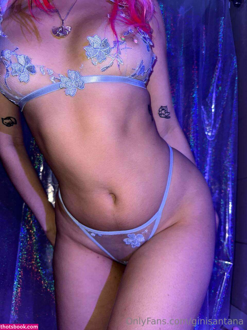 Ginisantana Photo #248