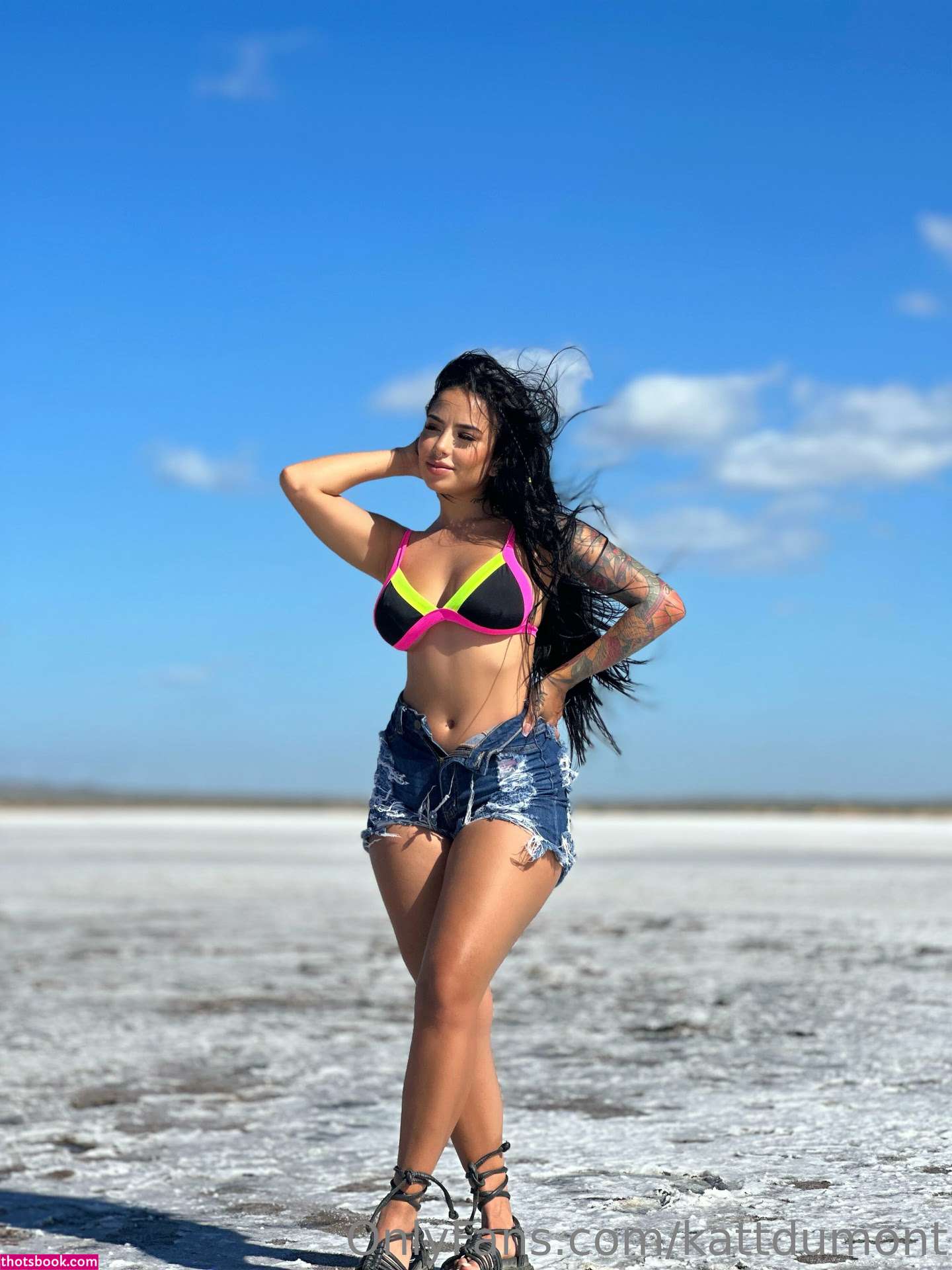 Kattdumont Photo #35