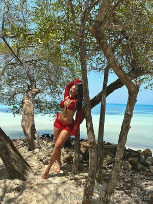 Kattdumont Photo #45