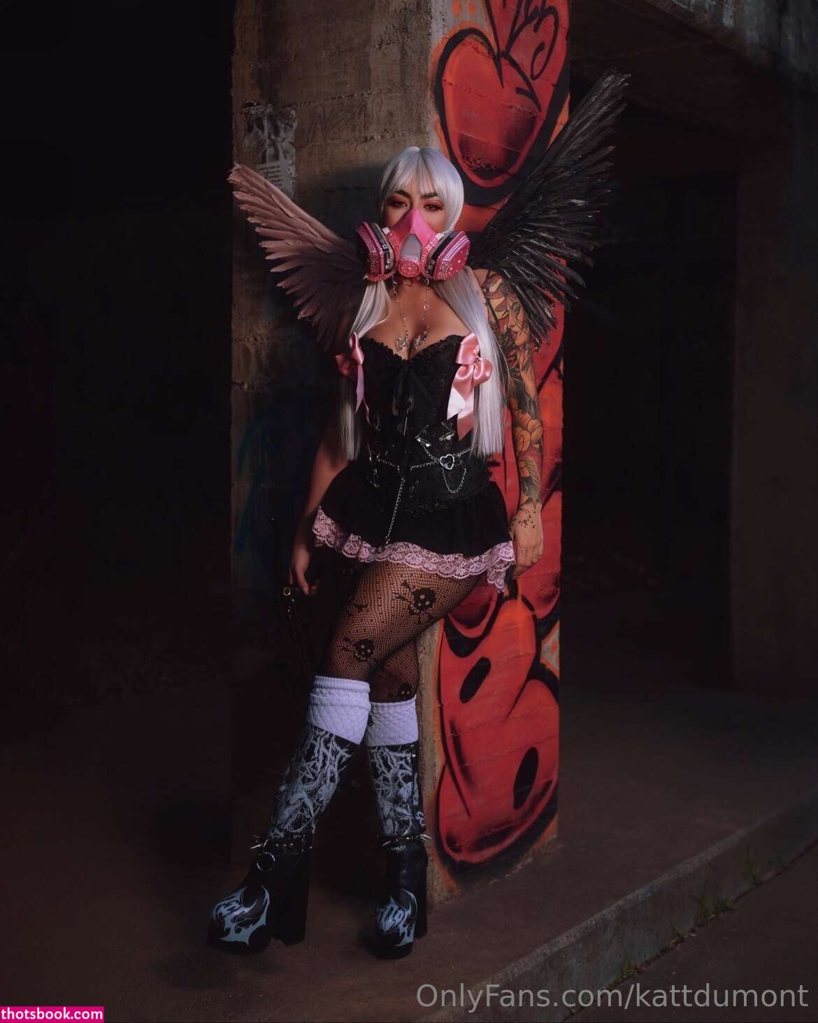 Kattdumont Photo #133