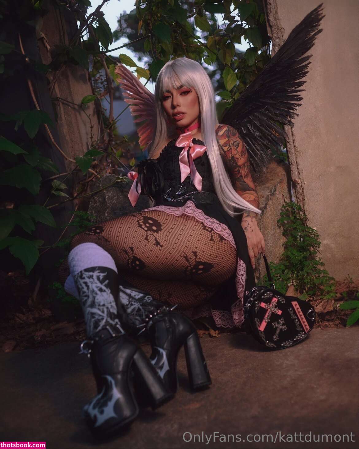 Kattdumont Photo #136