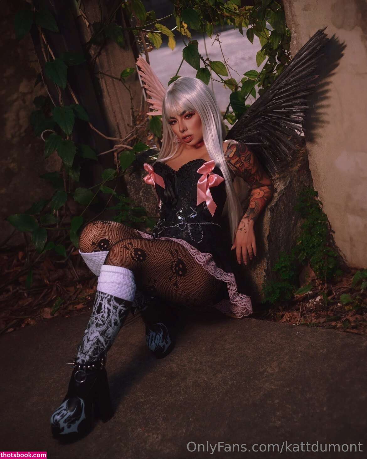 Kattdumont Photo #137