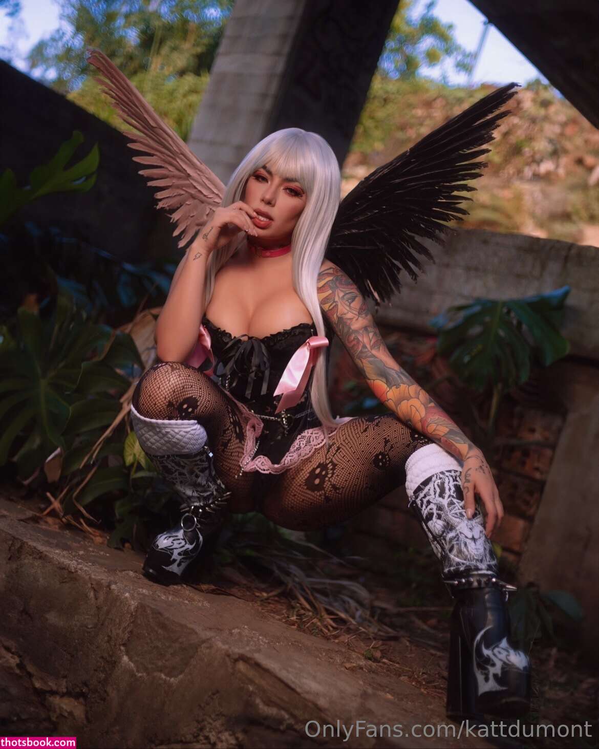 Kattdumont Photo #138