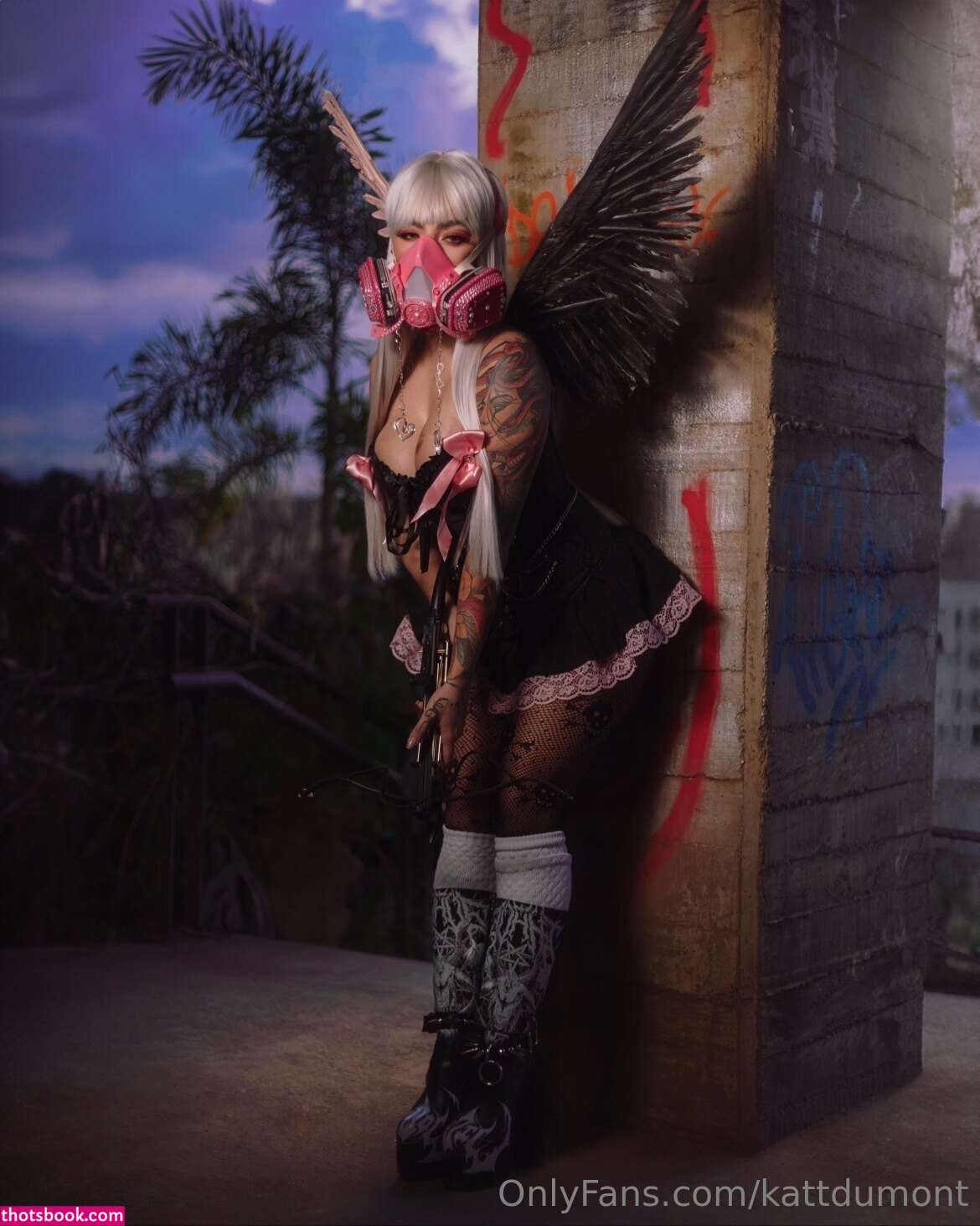 Kattdumont Photo #148