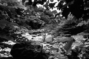 luizaconlaz Photo #205