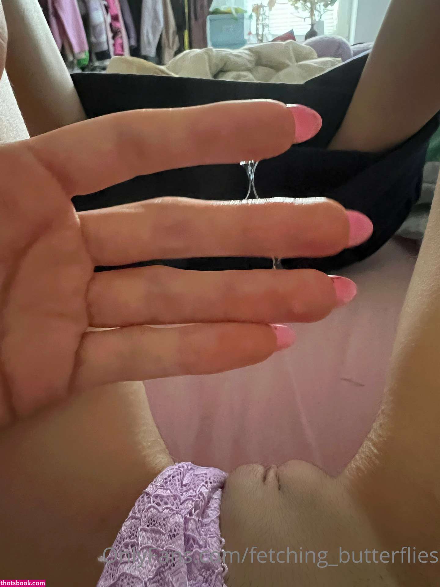 Fetching Butterflies Photo #318