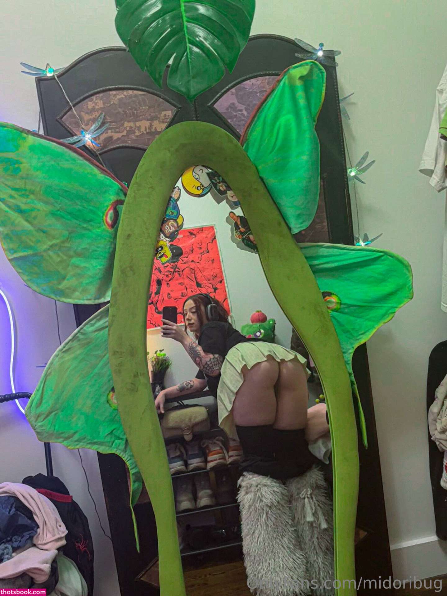 Midoribug Photo #262