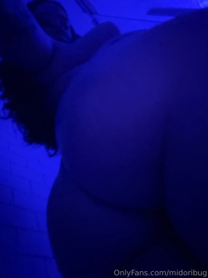 Midoribug Photo #266