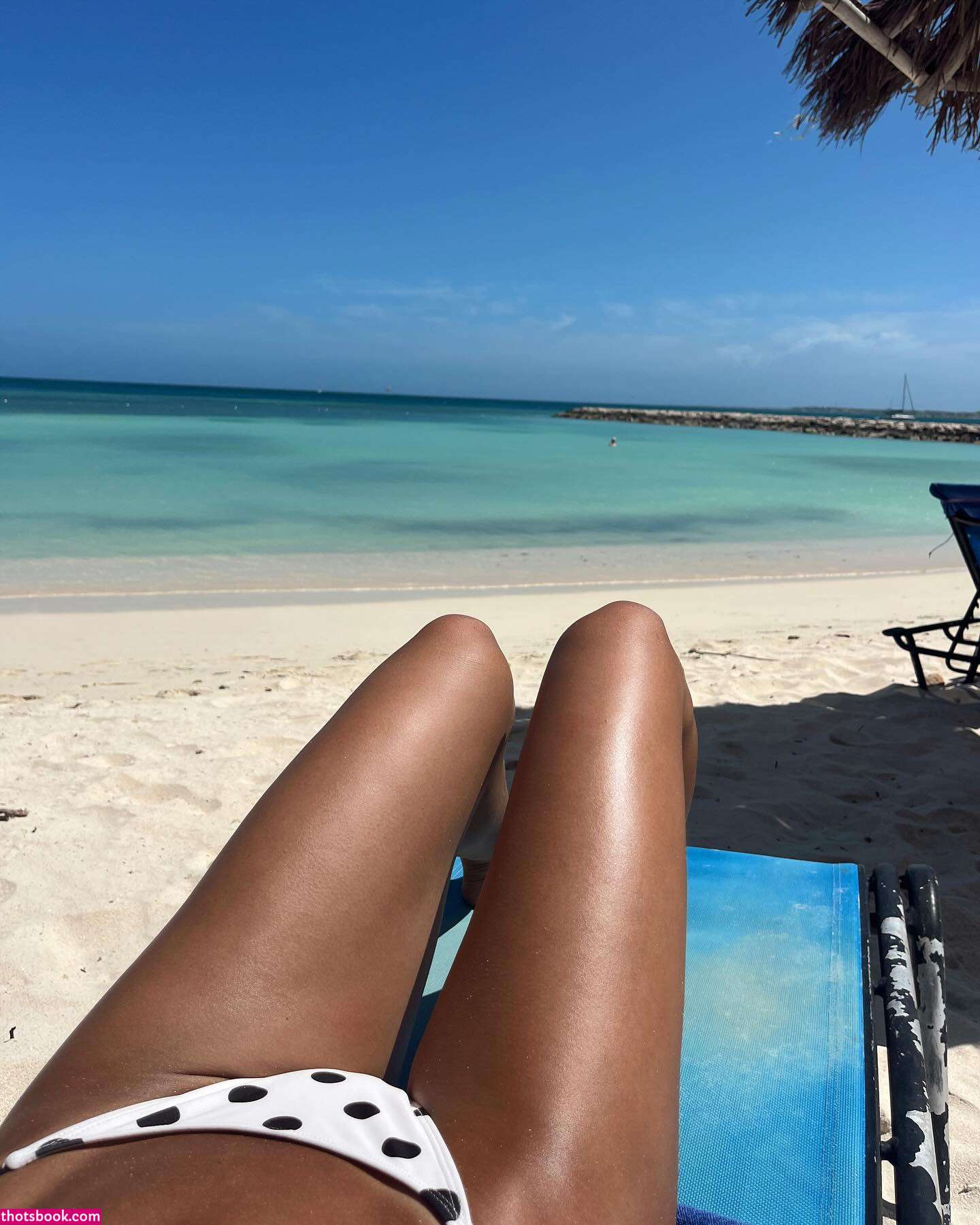 Stephanie Zustovich Photo #15