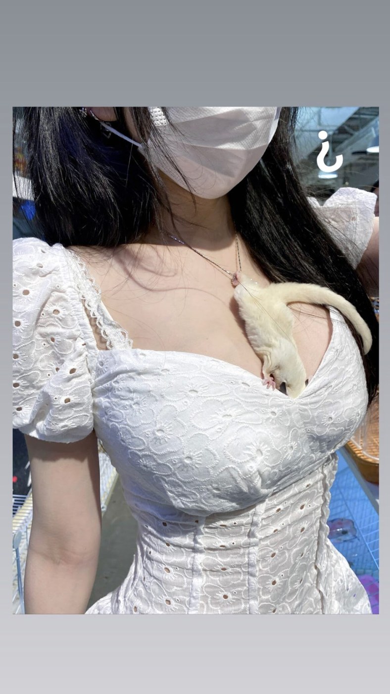 Chulianeru Photo #74