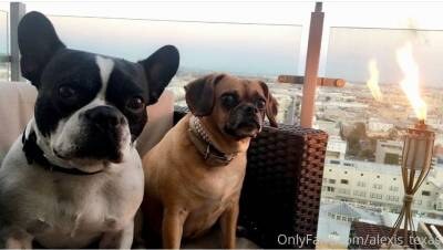 Alexis Texas Photo #72