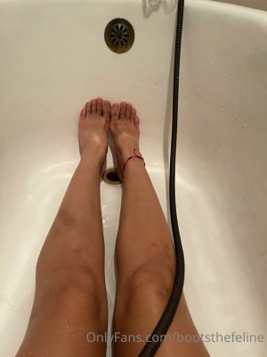 Bootsthefeline Photo #15