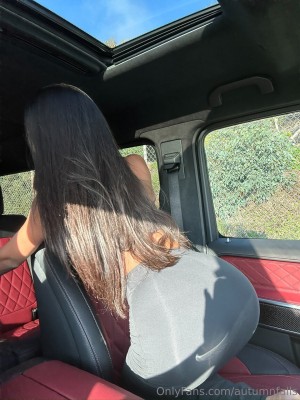 Autumn Falls Photo #239