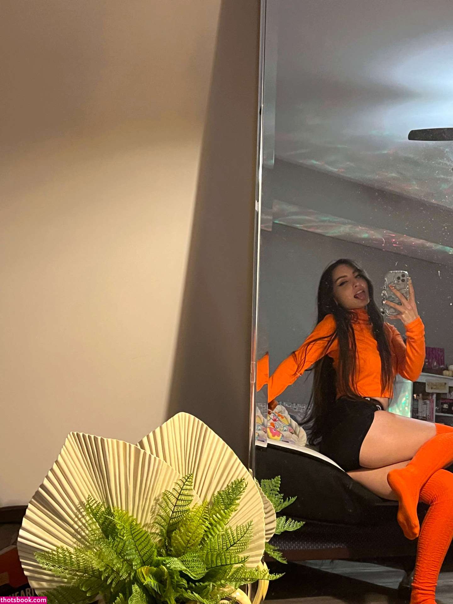 beebee ASMR Photo #201