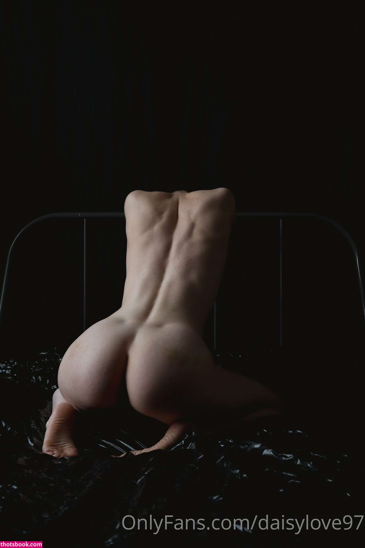 Daisy Love Photo #37