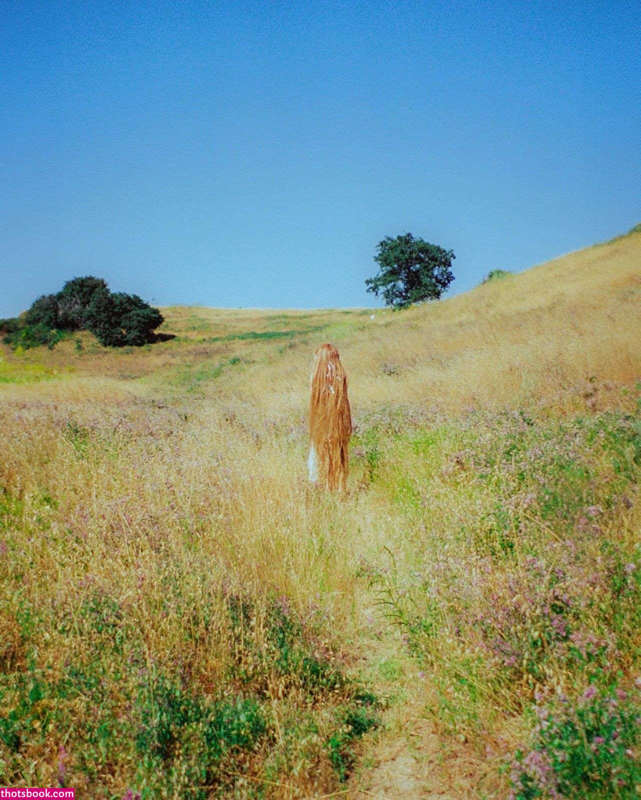 Anne Winters Photo #232