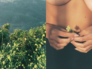 Alyssa Lynch Photo #67