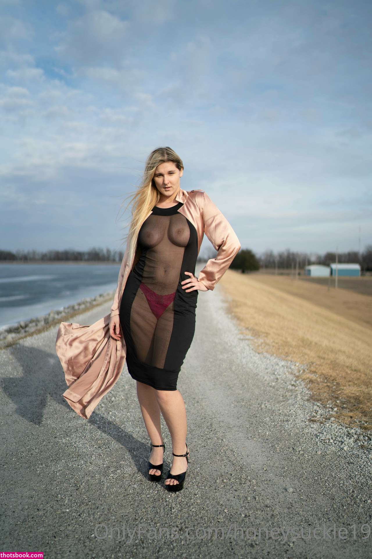 19honeysuckle Photo #47