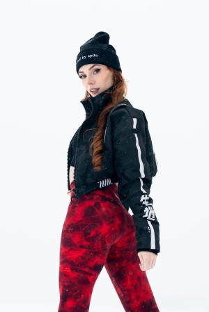 Clarus Polaris Photo #398