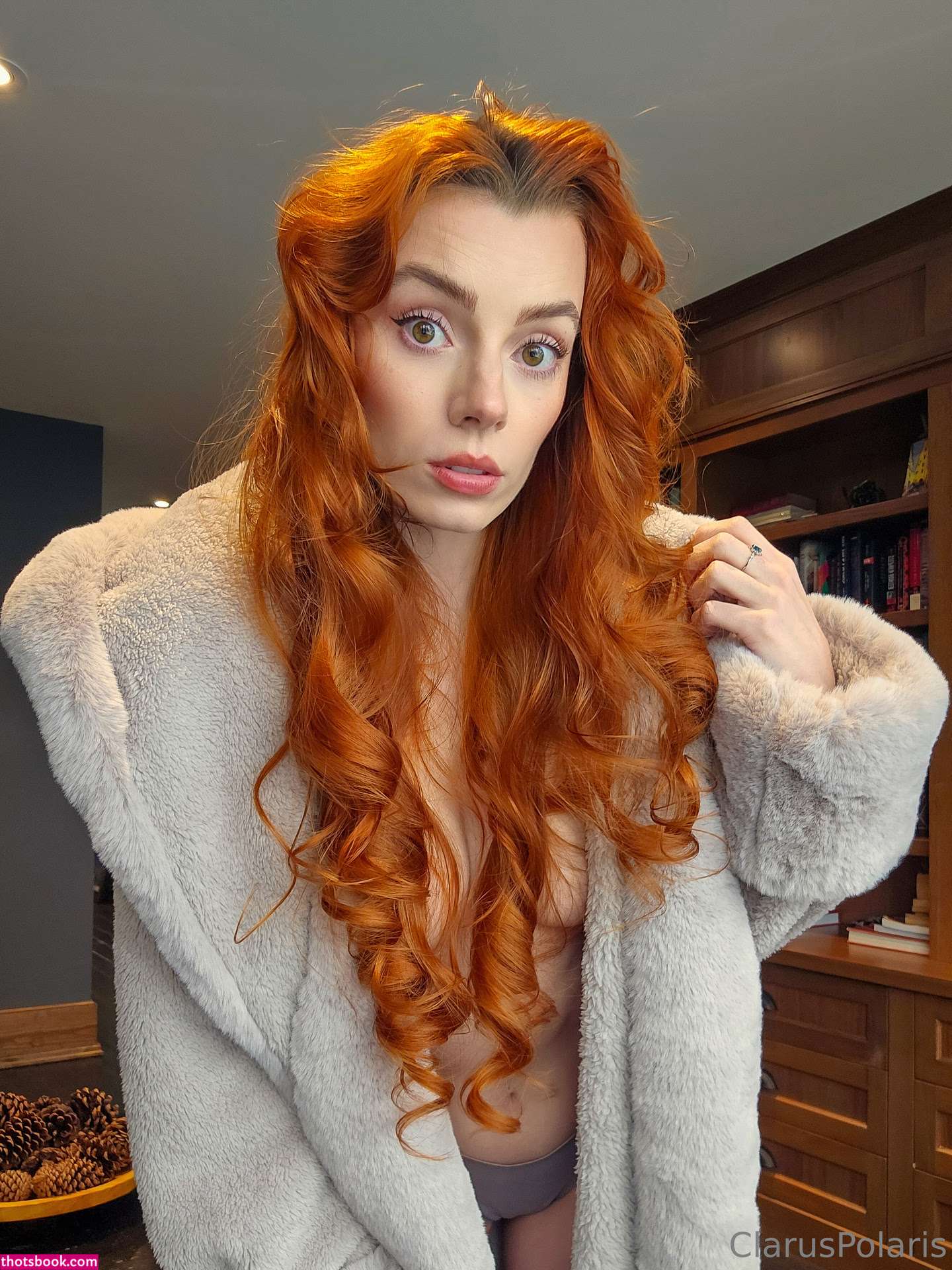 Clarus Polaris Photo #628