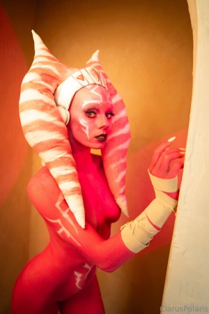 Clarus Polaris Photo #598