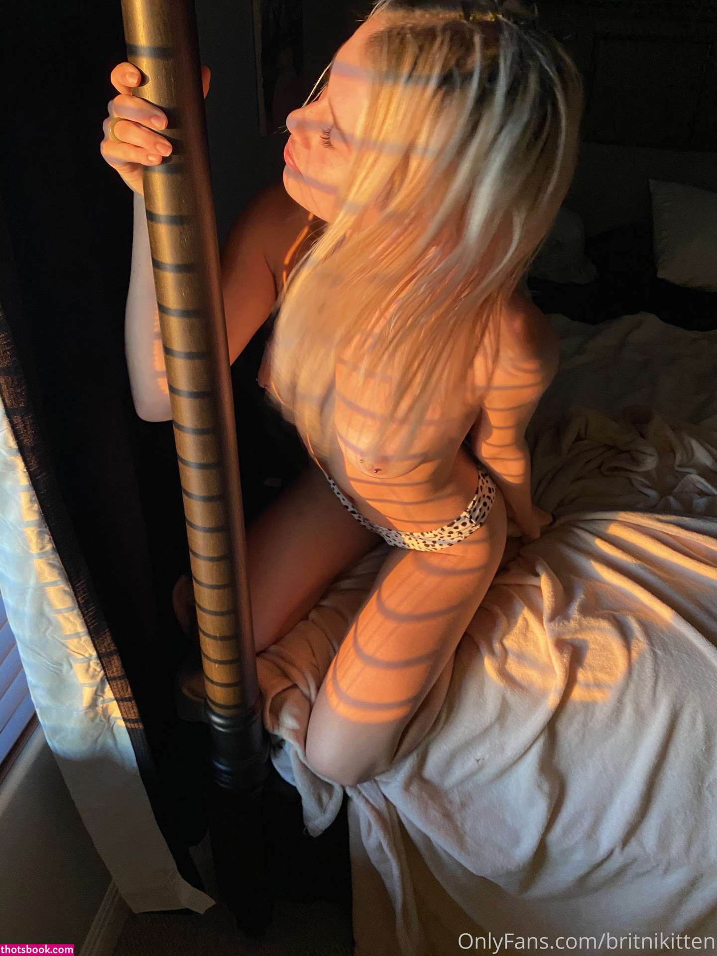 Britni Kitten Photo #40