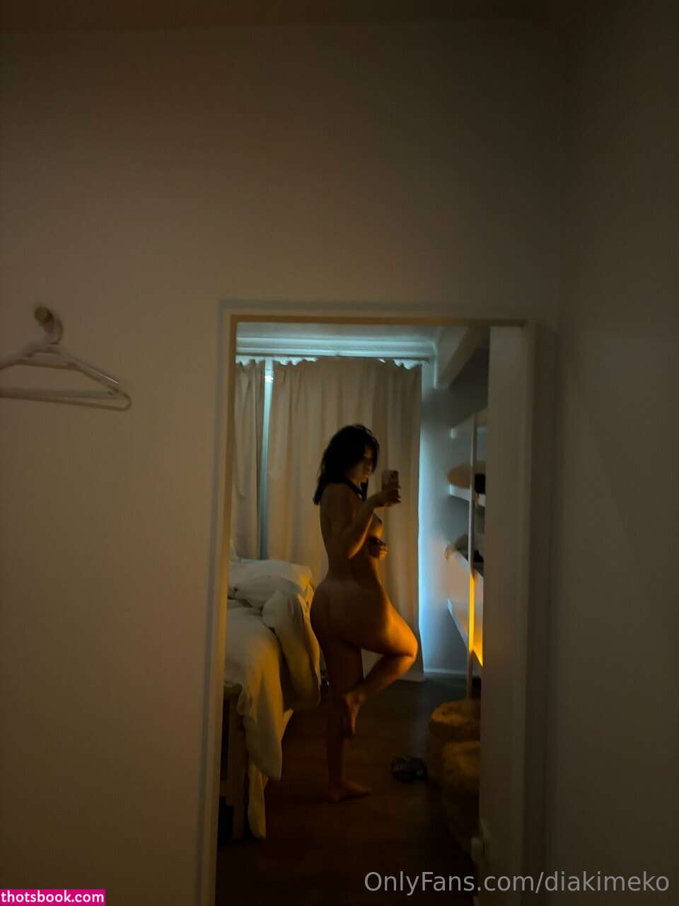 diakimeko Photo #156