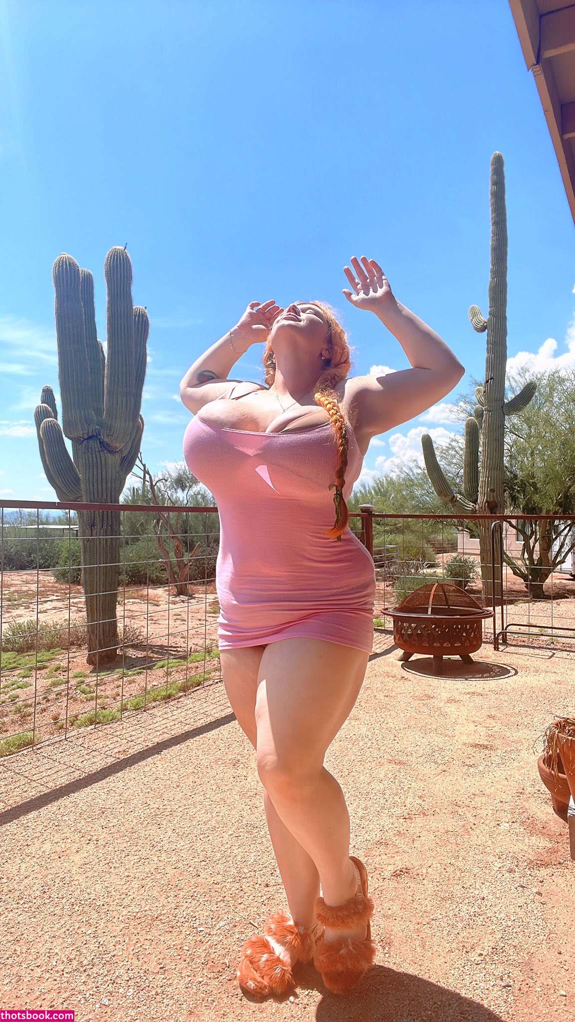 Penny Underbust Photo #263