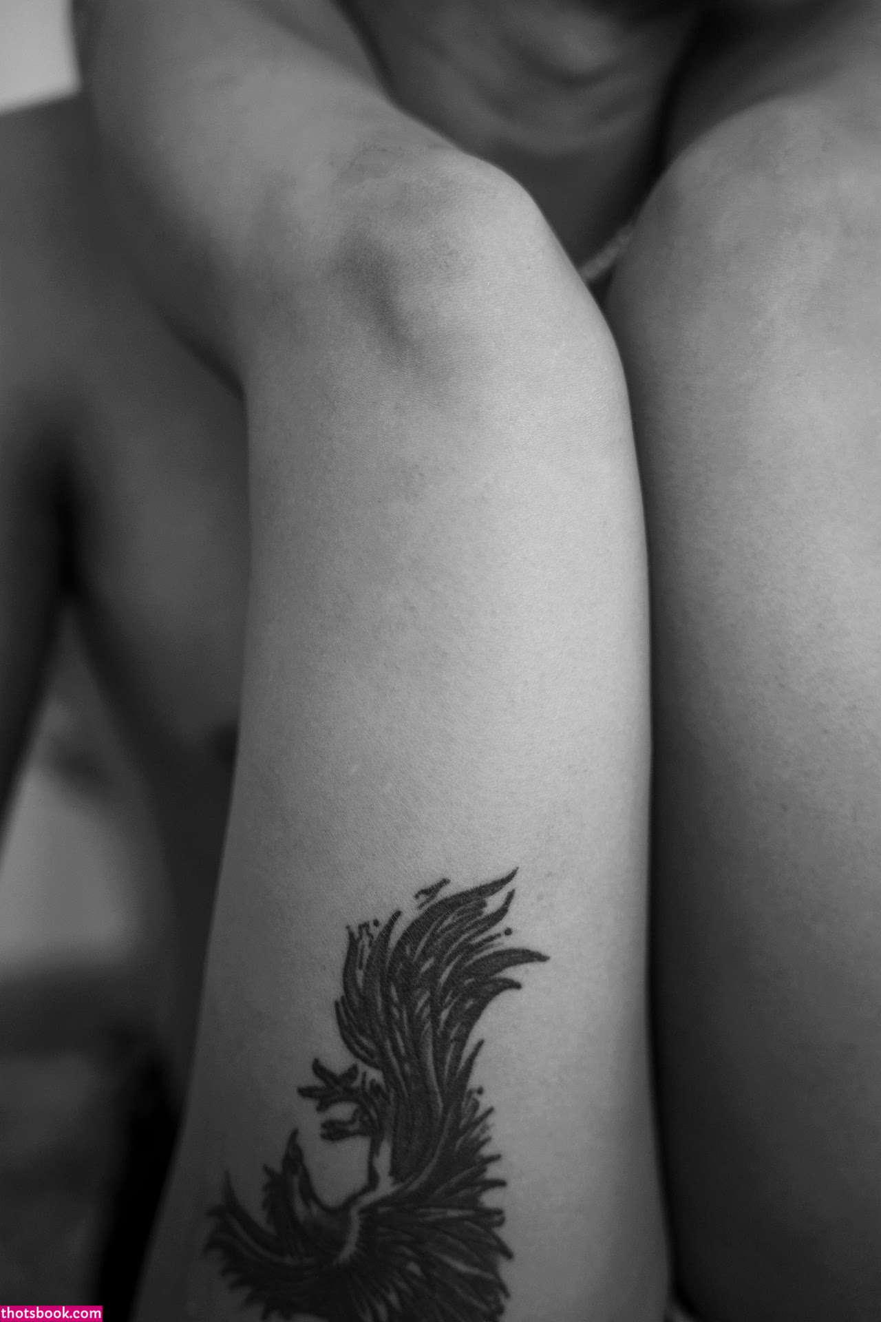 Yajnaseni Photo #110