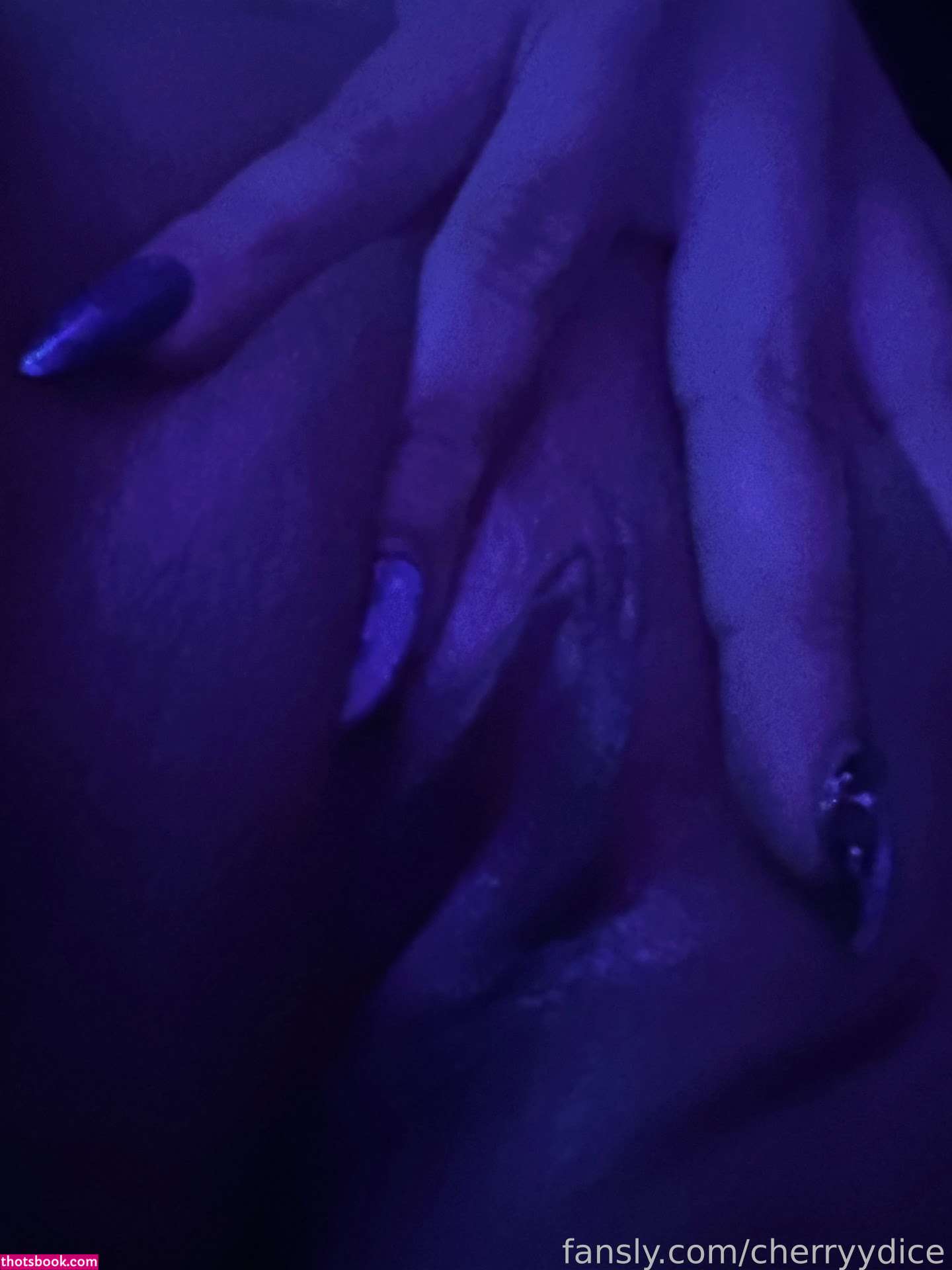 Cherryydice Photo #29