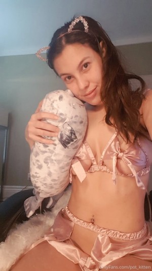 Pot kitten Photo #33