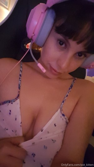 Pot kitten Photo #41