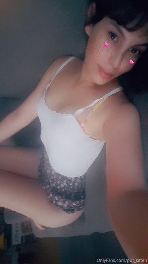 Pot kitten Photo #43