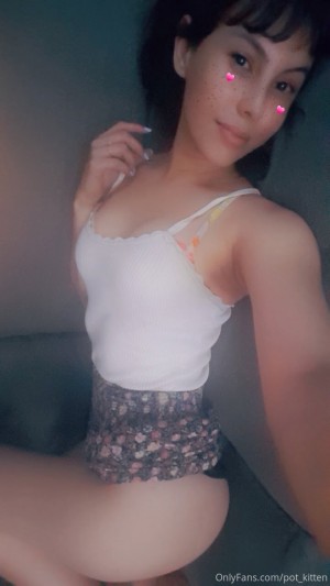 Pot kitten Photo #47