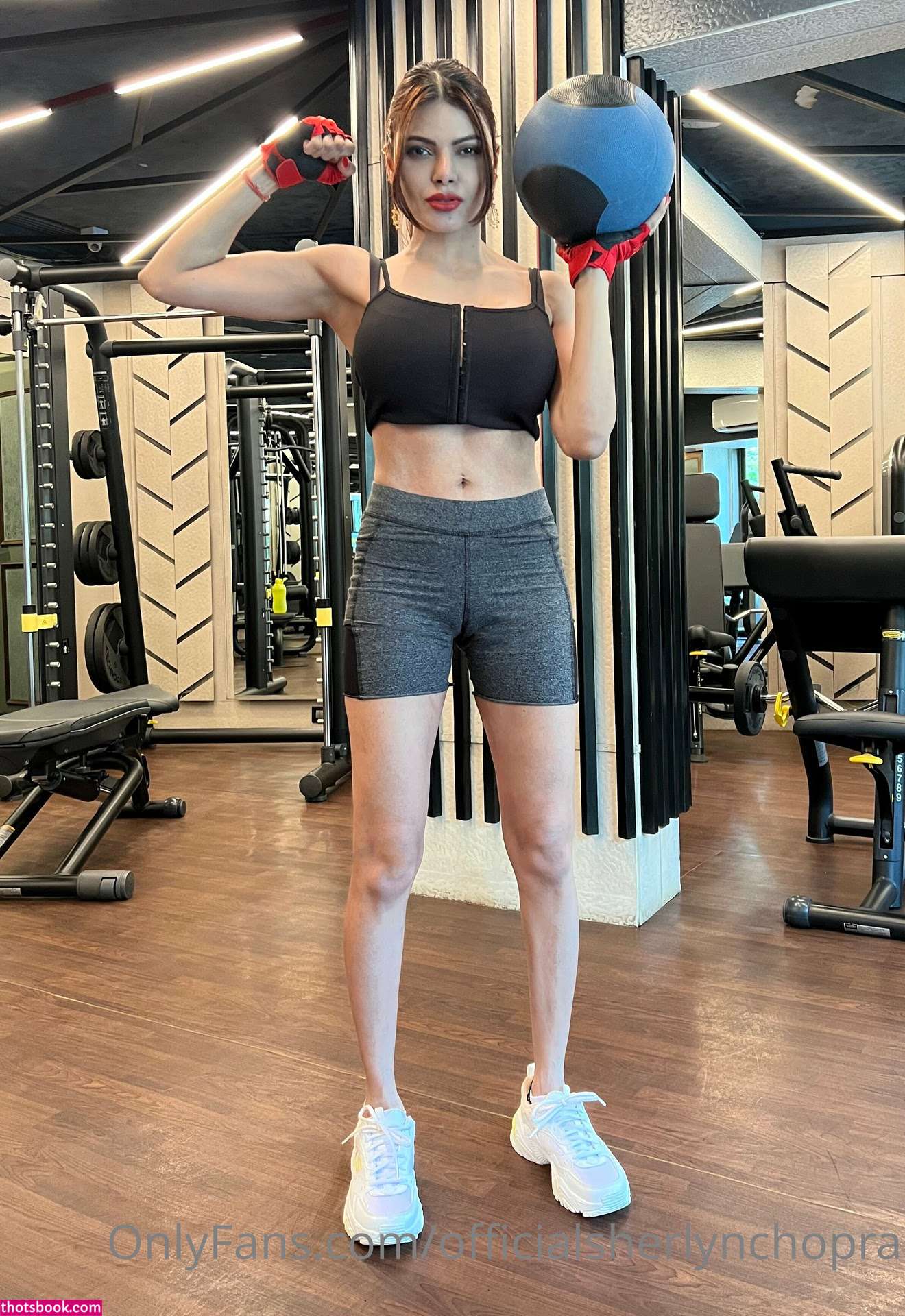 Sherlyn Chopra Photo #14