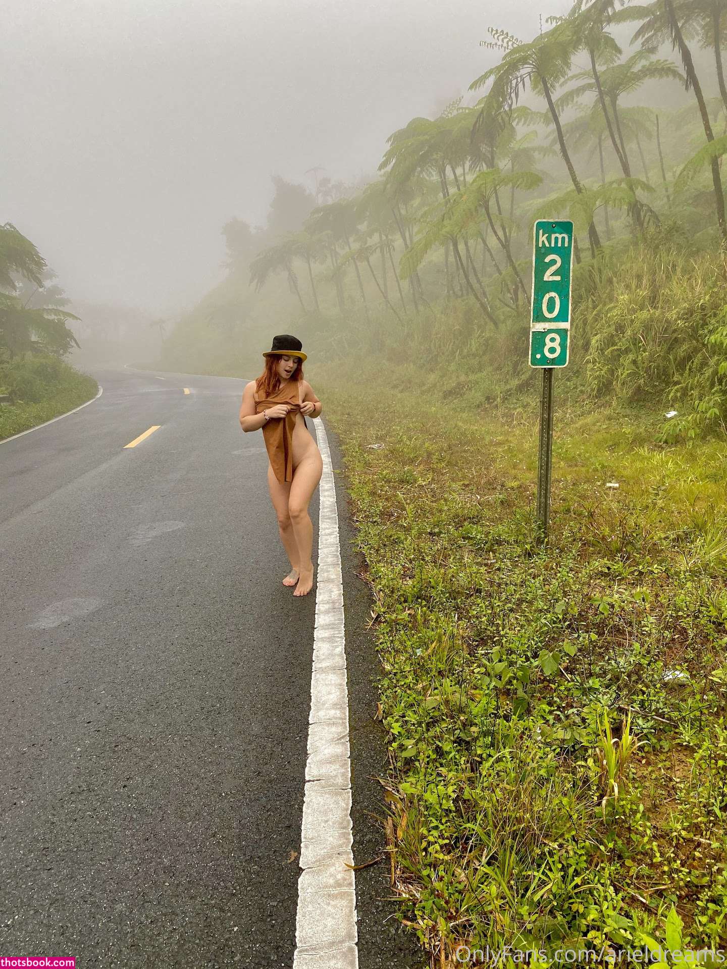 Ariel Dreams Photo #47