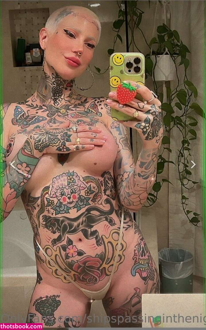 shipspassinginthenight Photo #10