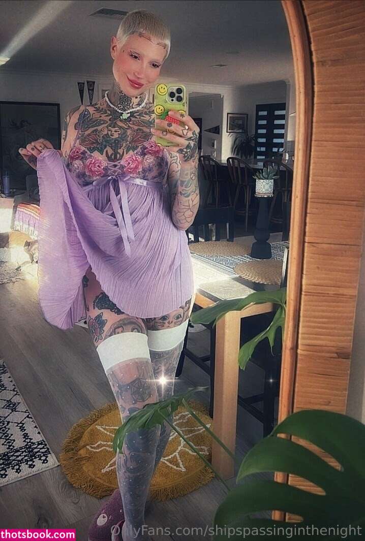 shipspassinginthenight Photo #17