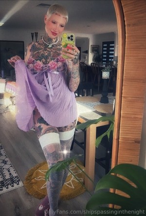 shipspassinginthenight Photo #17