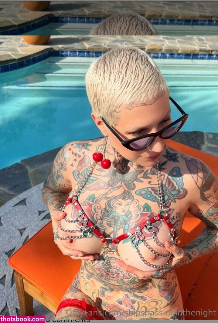 shipspassinginthenight Photo #22