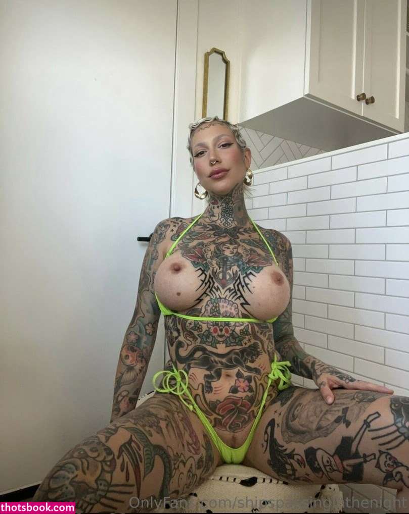 shipspassinginthenight Photo #28