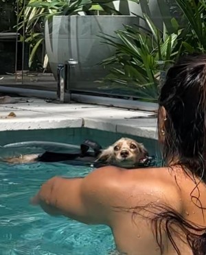 Jennifer Chong Photo #26