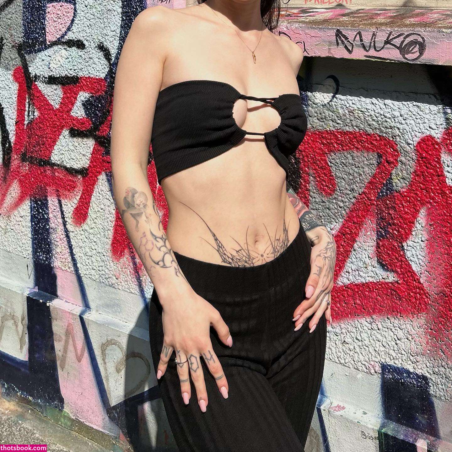 Bilgethewolf Photo #15