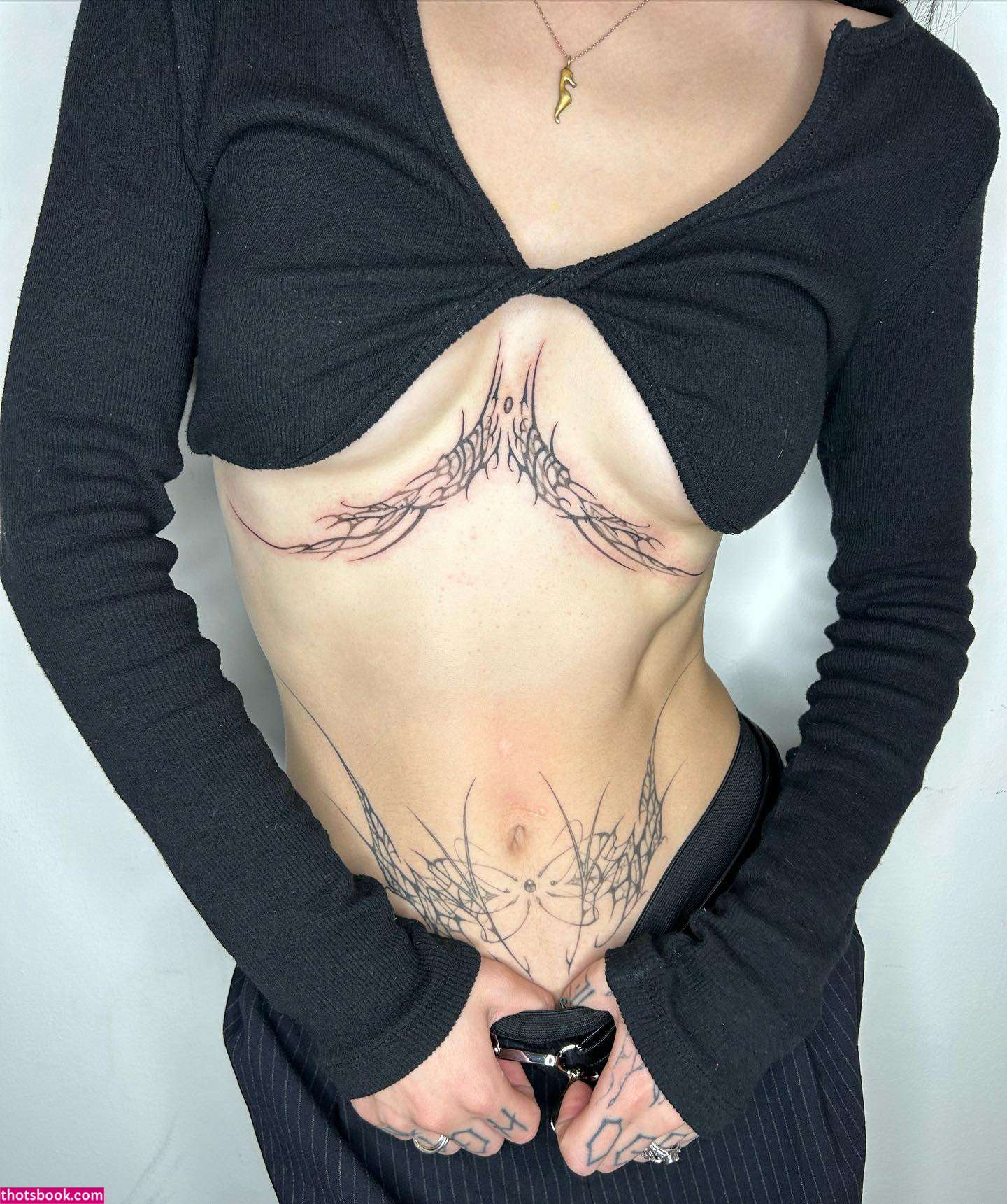 Bilgethewolf Photo #18