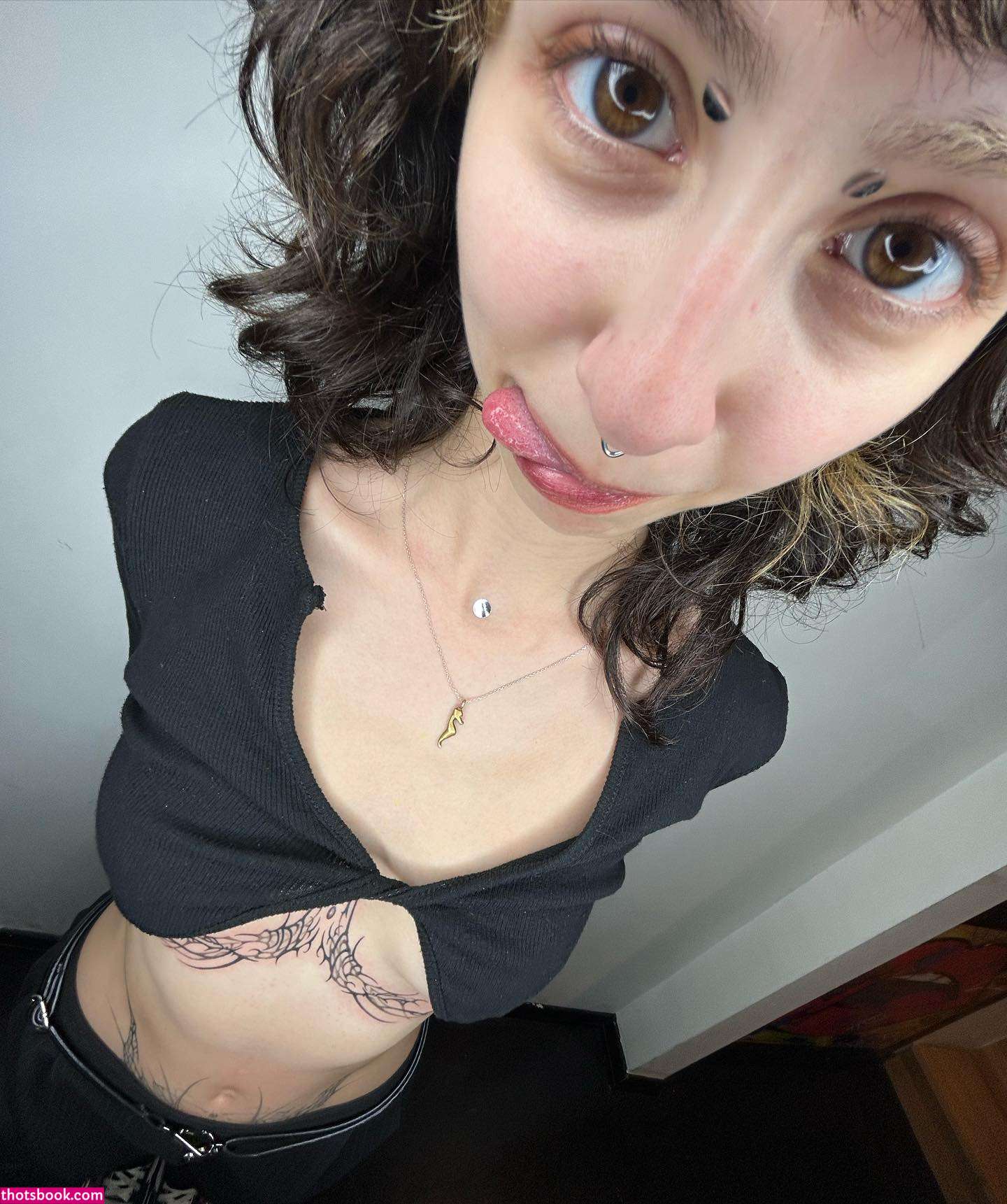 Bilgethewolf Photo #21