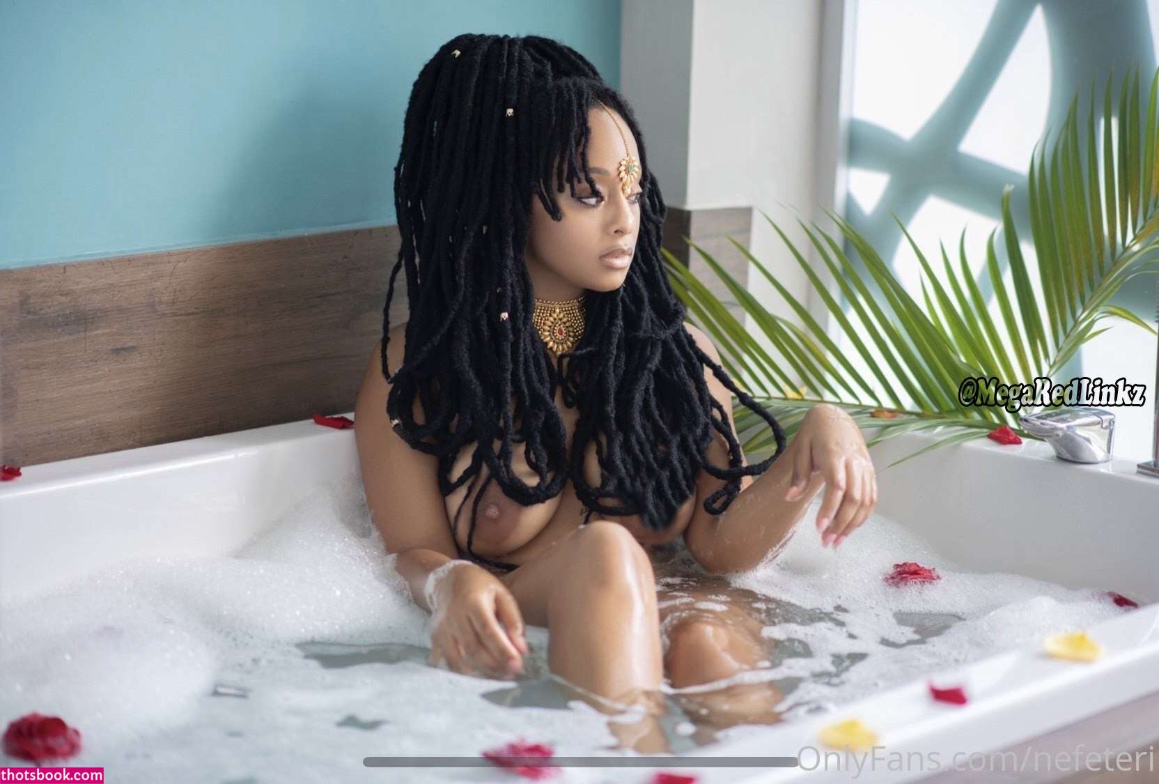 Nerissa Nefeteri Photo #37