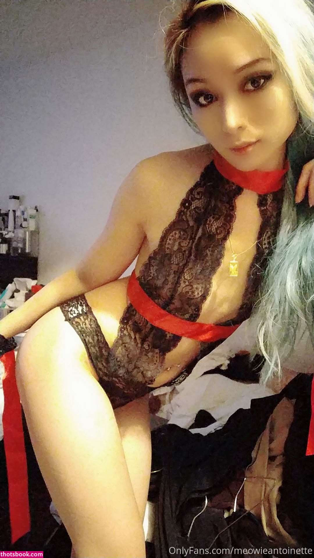 Meowieantoinette Photo #3