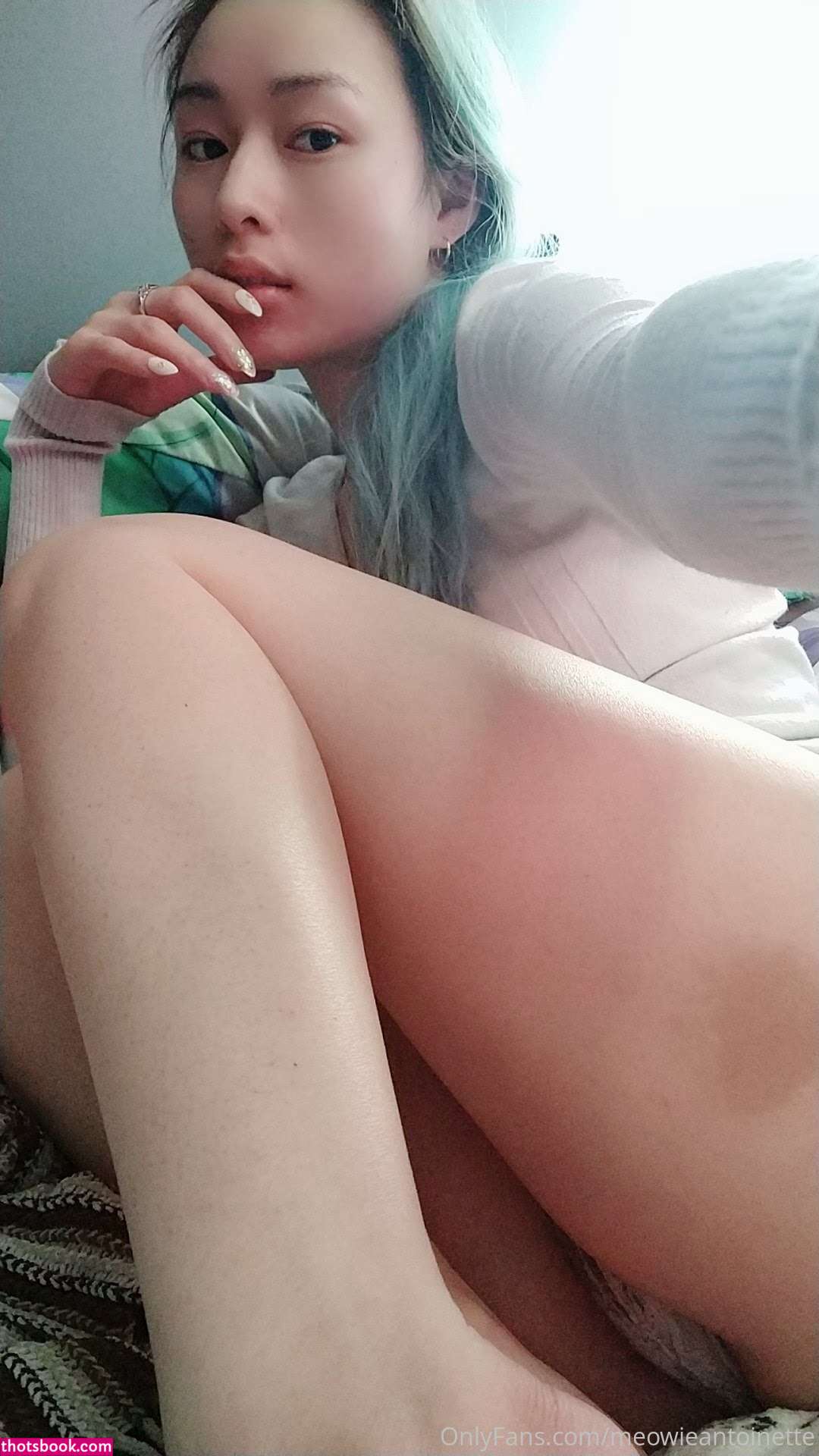 Meowieantoinette Photo #5