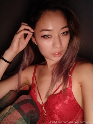 Meowieantoinette Photo #36